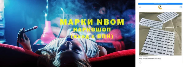 гидра Аркадак