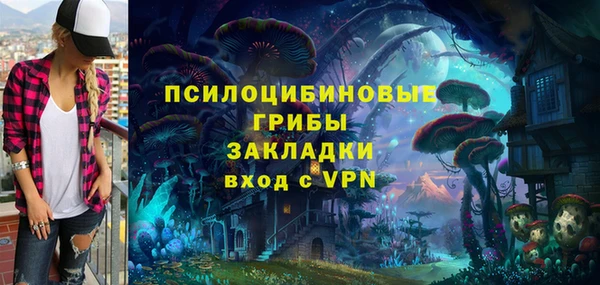 индика Елабуга