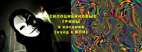 крисы Арсеньев