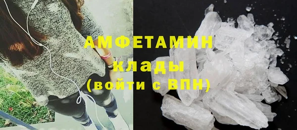 гидра Аркадак