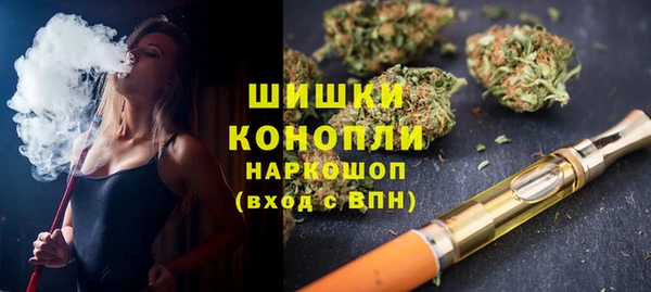 гидра Аркадак