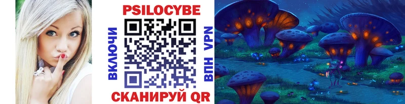 Псилоцибиновые грибы Cubensis  Асино 