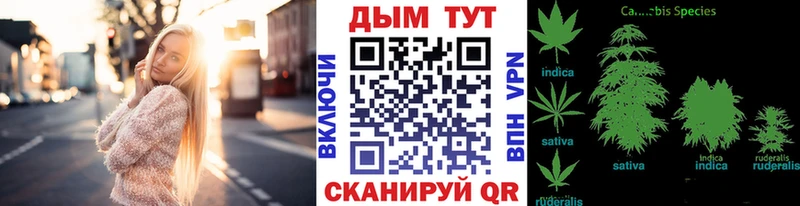 где продают наркотики  Асино  Каннабис ГИДРОПОН 